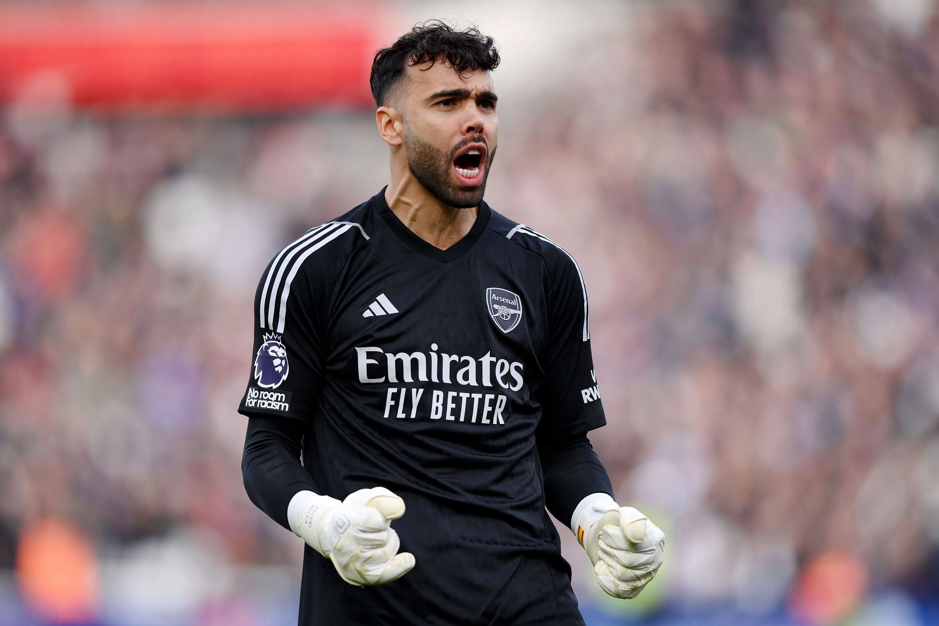 David Raya has been a hit at the Emirates.